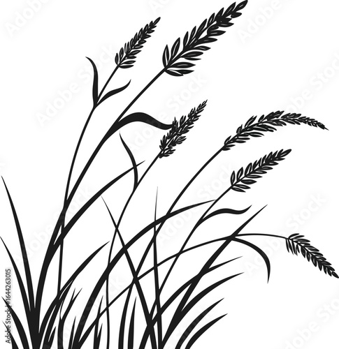Grass illustration vector with white background