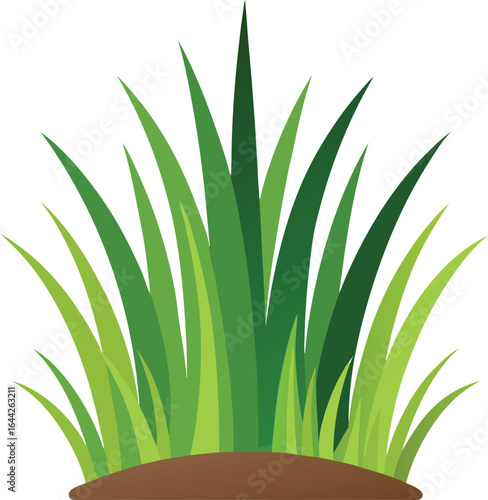 Grass illustration vector with white background