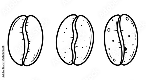 Coffee beans illustrated in three different styles with outlines  