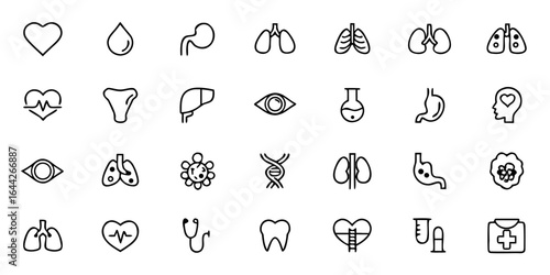 Cardiovascular & Respiratory Organs Icon Pack – Minimalist Line Art Heart, Lungs, Blood Vessels, Bronchi, Alveoli, Trachea, and Circulatory System – Medical & Health Vector Icons
