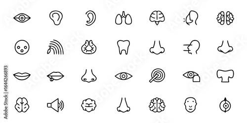 Human Sensory Organs & Glands Icon Bundle – Minimalist Line Art Brain, Eyes, Ears, Nose, Tongue, Glands, and Nervous System Components – Medical & Educational Vector Icons