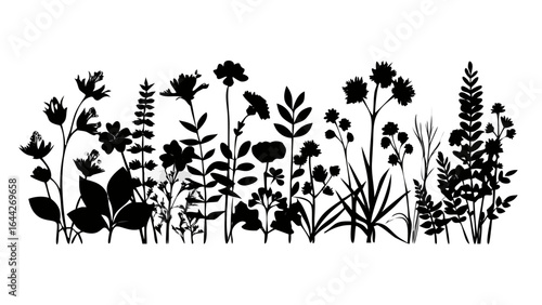 Botanical floral silhouette vector illustration of garden flowers and wild plants vector design element art 100