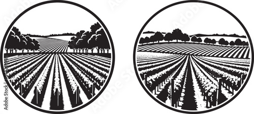 Vector art of black and white illustration of a vineyard field with rows of plants and trees in a circle