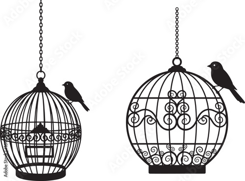 Vector art of two ornate bird cages with birds perched on them, isolated on a white background