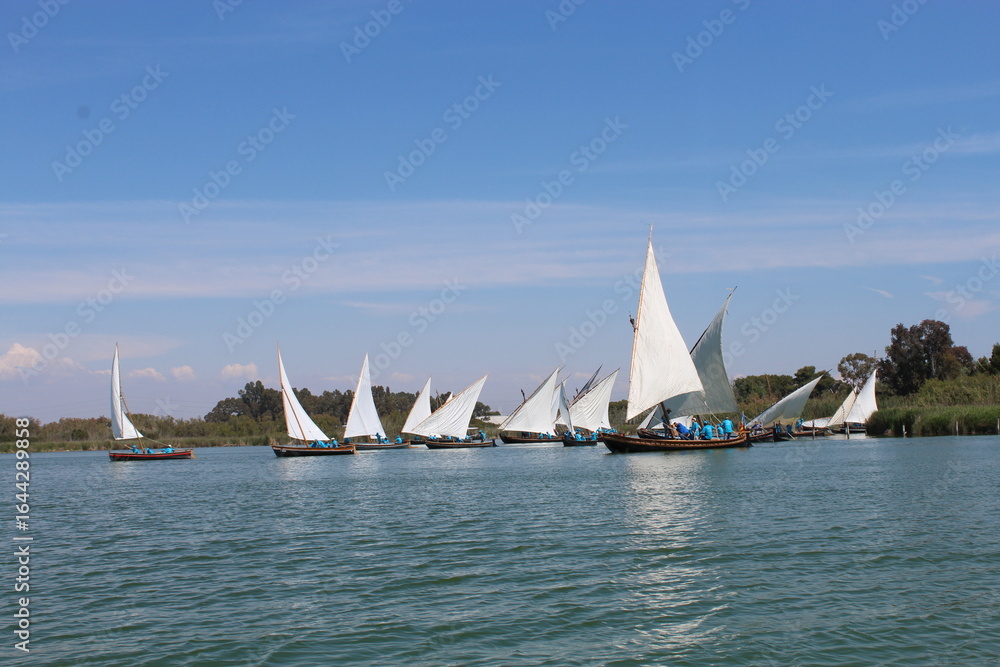 Naklejka premium barcos veleros competición 