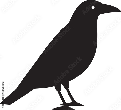 Raven Silhouette Dark Bird Profile