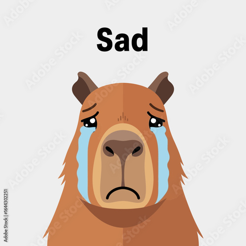 A cartoon capybara with tears crying indicating sadness.