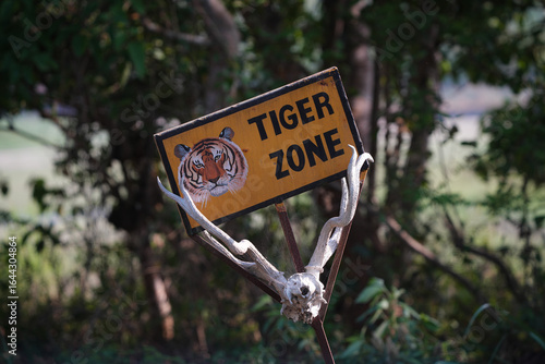 tiger zone