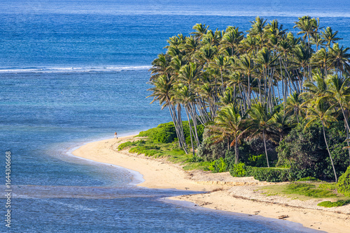sandy beach in the summer