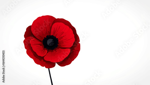 Stylized Red Poppy Flower on White Background

