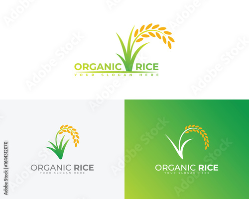 Green yellow rice stalks logo design grain agriculture