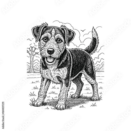 Engraving of Happy Dog in a Field. drawn in an engraved, woodcut style with fine details sketch engraving vector illustration. Scratch board imitation