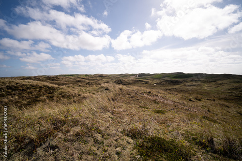 Dünenlandschaft an der Nordsee