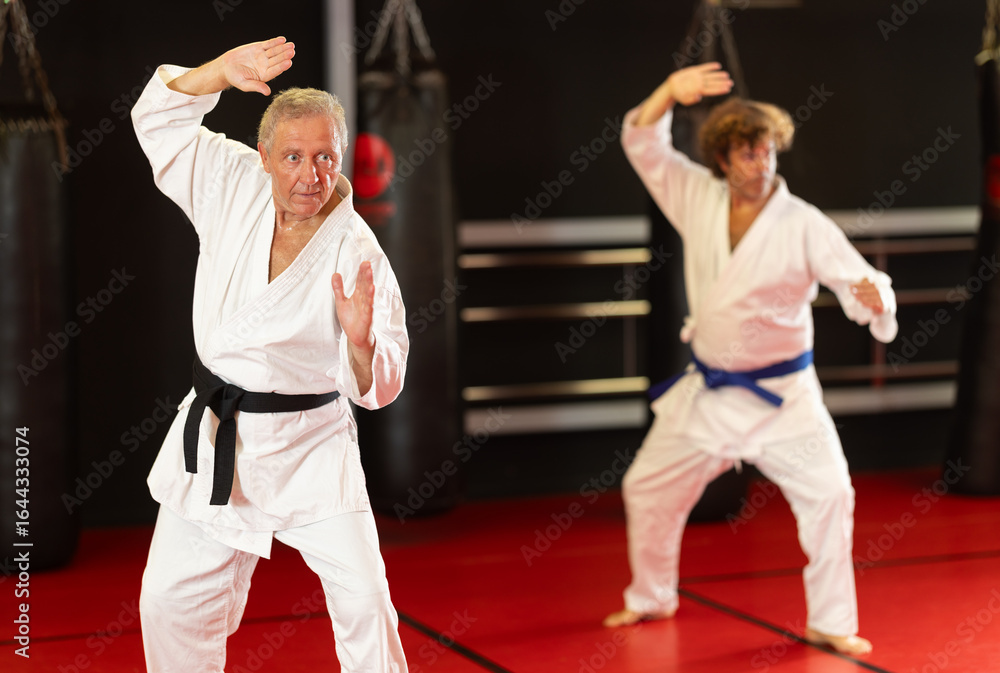 Fototapeta premium Experienced black-belt sensei demonstrating opening kata sequence while blue-belt learner mirroring movement behind on red tatami in modern dojo..