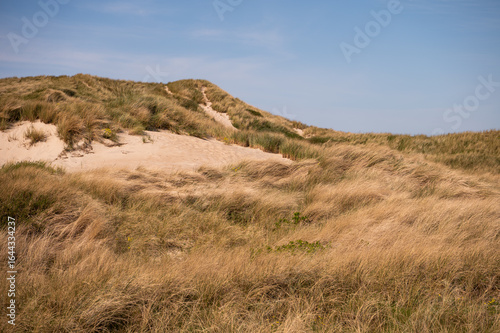 Dünen mit blauem Himmel - Nordsee