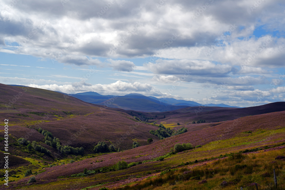 Naklejka premium Die Farben der Cairngorm Mountains