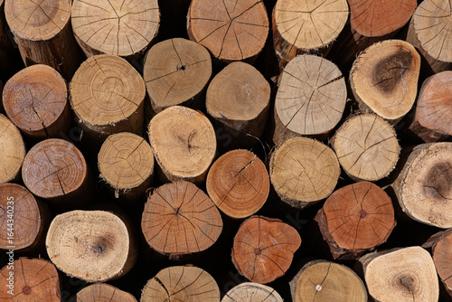 Beautifully stacked and accommodated cut wood pattern natural 