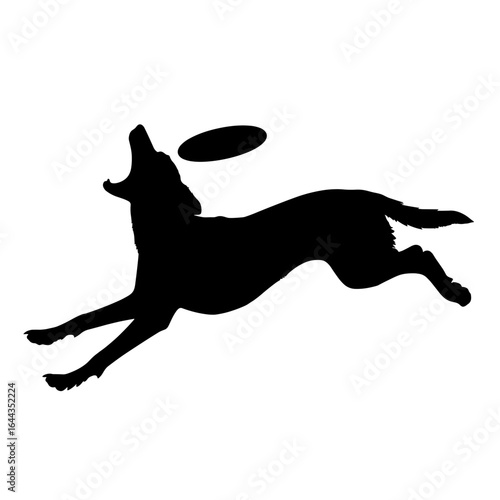 Energetic dog leaping to catch a flying frisbee in mid-air playtime moment