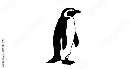 Object penguin vector illustration standing side view black and white penguin drawing wildlife bird antarctic animal art vector