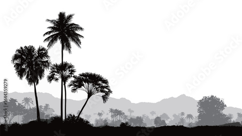 A black and white photo of a palm tree forest. The trees are tall and spread out across the landscape