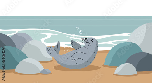 Cute Seal Lounging on a Beach with Smooth Rocks and Gentle Waves Graphic Art