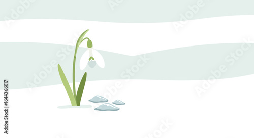 Delicate snowdrop blooming through the snow, capturing the essence of early spring and renewal in a minimalist illustration style