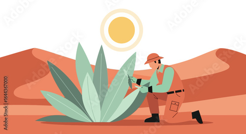 Desert survival: A farmer tending to a rare plant in a hot arid landscape