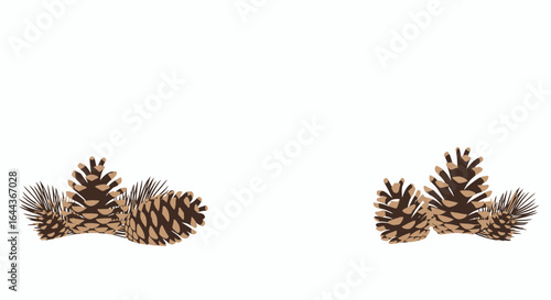 Elegant minimalistic vector illustration featuring pinecones on a clean white background