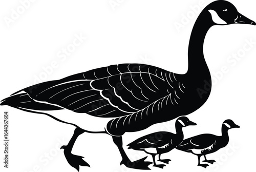 Silhouette of a canada goose with two goslings walking