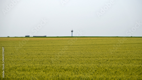 A minimalist rural landscape of golden wheat fields under a vast blue sky. A solitary water tower stands on the horizon. Perfect for themes of agriculture, nature, and peaceful countryside life.