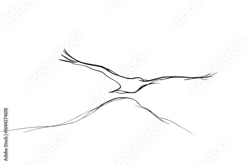 Minimalist line art drawing of eagle flying over mountain peak vector illustration simple black and white design vector art