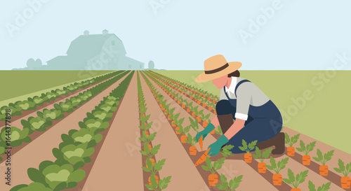 Female farmer harvests carrots in a vast field with a distant farm building illustration