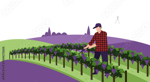 Harvest Season: Vineyard Worker Pruning Grapes in a Serene Landscape minimal art