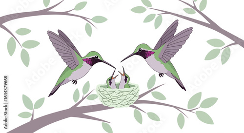 Hummingbird family illustration featuring parent birds feeding their young in a nest on a branch