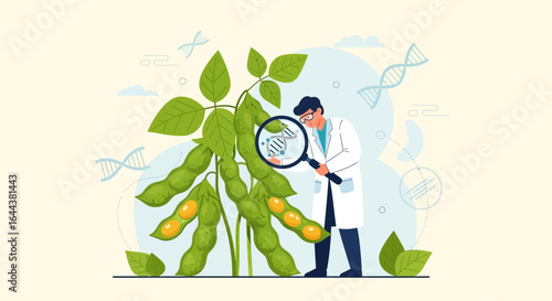 Genetic research and food biotechnology Scientist analyzing dna structure of soybean with magnifying glass studying genetic modification in agriculture