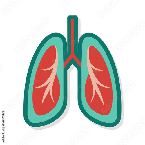 Cartoon vector illustration of human lungs diagram