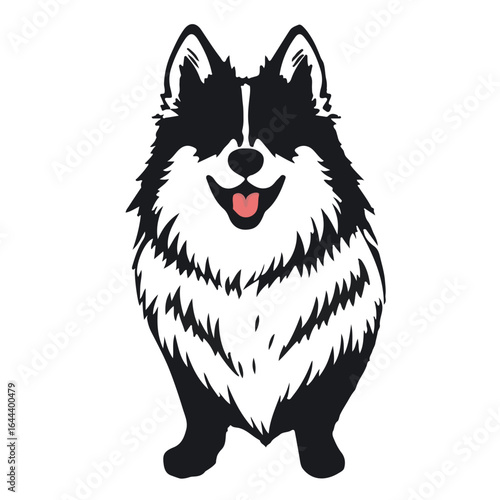 Swedish Vallhund