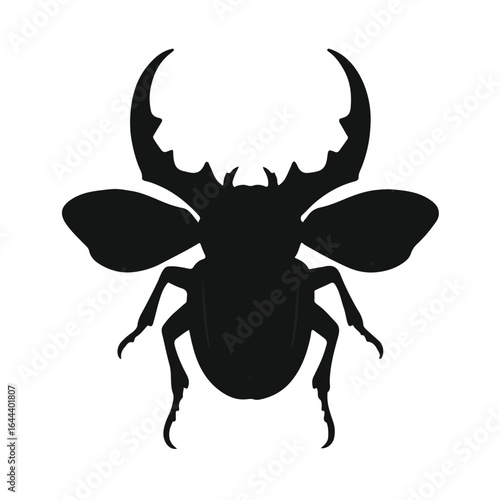 Stag Beetle Animal Illustration