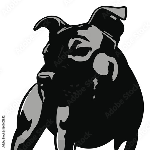 Staffordshire Bull Terrier