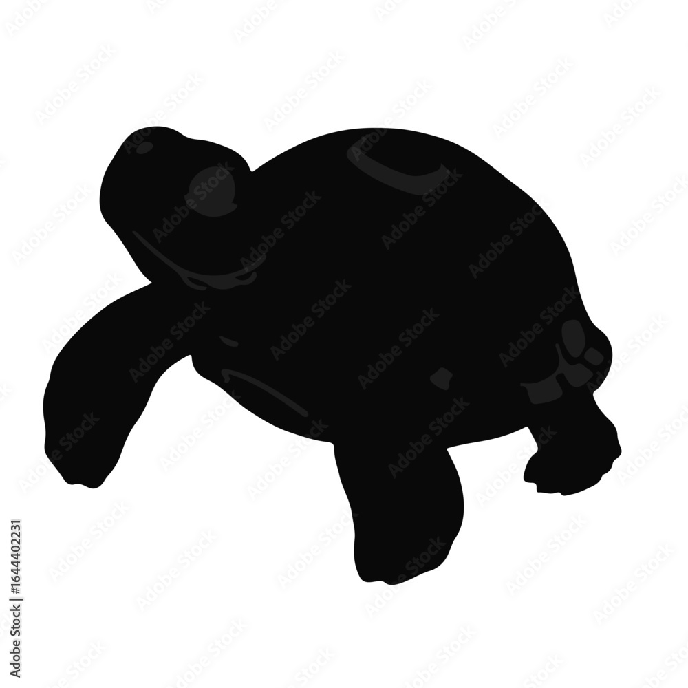 Obraz premium Spiny Hill Turtle Illustration