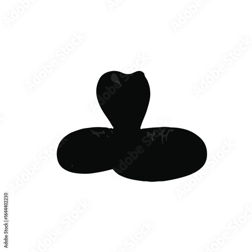 Spitting Cobra Illustration