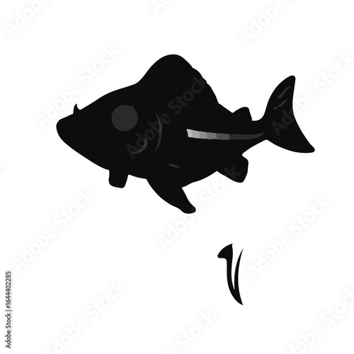 Spiny Dogfish Illustration