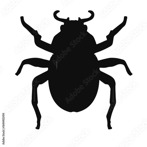 Spider-Beetle Hybrid