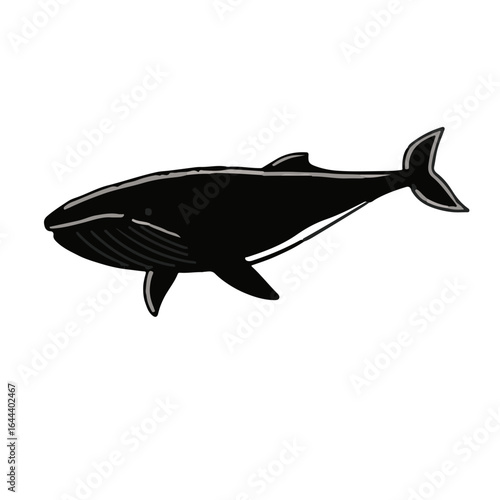 Sperm Whale Illustration