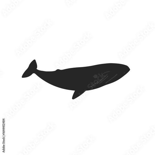 Sperm Whale Animal