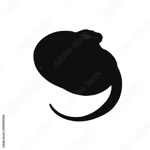 Southern Pacific Rattlesnake Motion