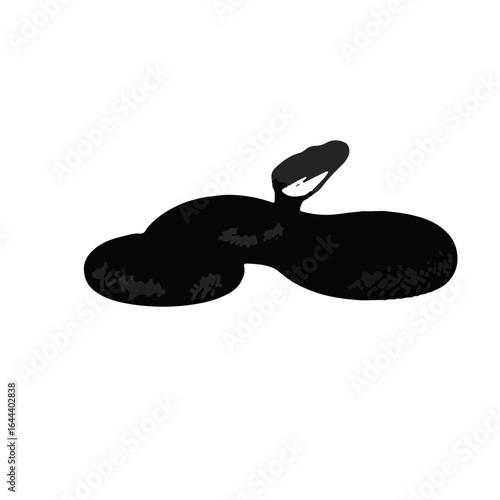 Southern Pacific Rattlesnake Animation