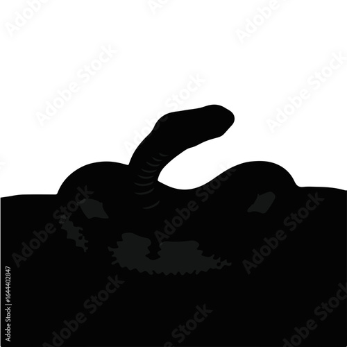 Southern Pacific Rattlesnake Animation