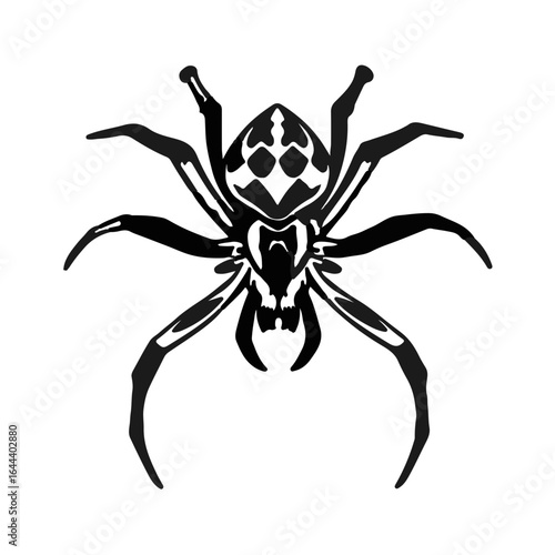 Southern House Spider