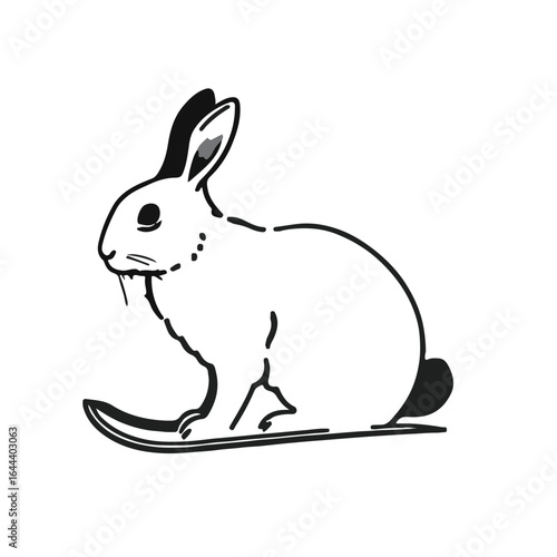 Snowshoe Hare